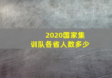 2020国家集训队各省人数多少