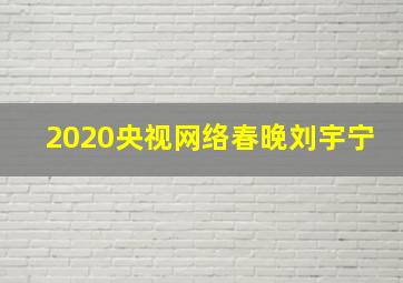 2020央视网络春晚刘宇宁