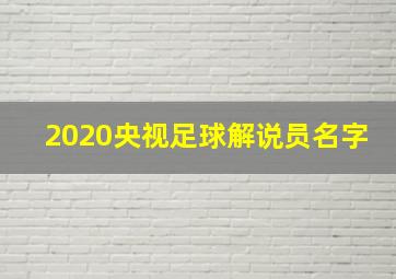 2020央视足球解说员名字