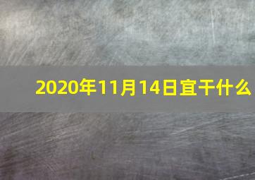 2020年11月14日宜干什么