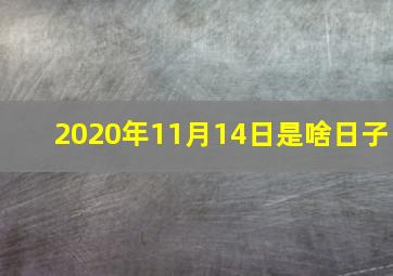 2020年11月14日是啥日子