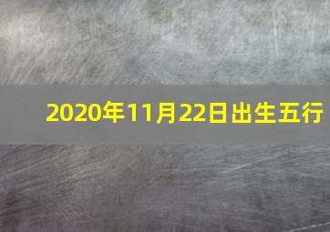 2020年11月22日出生五行