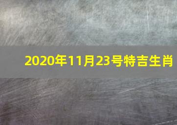 2020年11月23号特吉生肖