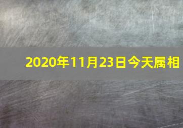 2020年11月23日今天属相