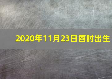 2020年11月23日酉时出生