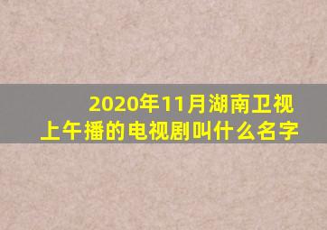 2020年11月湖南卫视上午播的电视剧叫什么名字