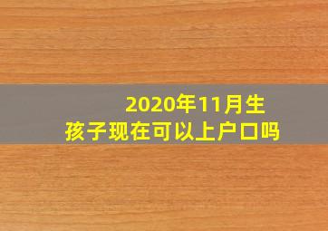 2020年11月生孩子现在可以上户口吗