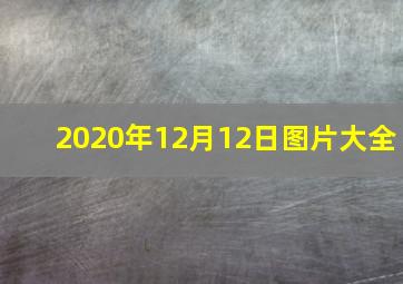 2020年12月12日图片大全