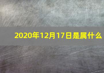 2020年12月17日是属什么