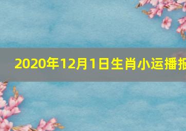 2020年12月1日生肖小运播报