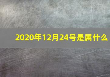 2020年12月24号是属什么