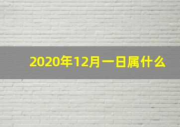 2020年12月一日属什么