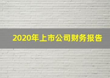 2020年上市公司财务报告