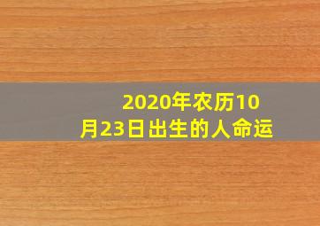 2020年农历10月23日出生的人命运