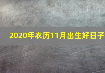 2020年农历11月出生好日子