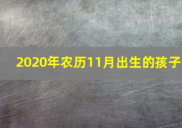 2020年农历11月出生的孩子