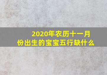 2020年农历十一月份出生的宝宝五行缺什么