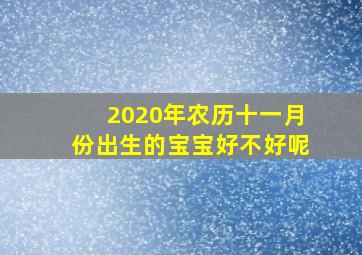 2020年农历十一月份出生的宝宝好不好呢