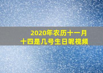 2020年农历十一月十四是几号生日呢视频