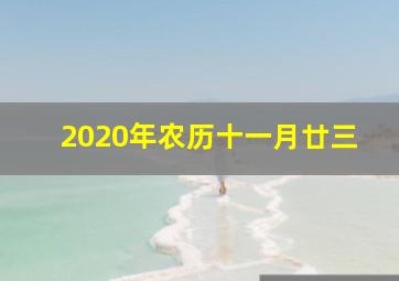 2020年农历十一月廿三