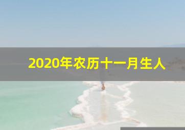 2020年农历十一月生人