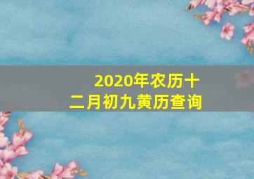 2020年农历十二月初九黄历查询