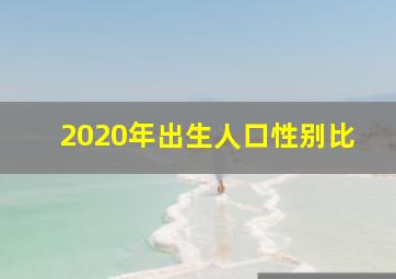 2020年出生人口性别比