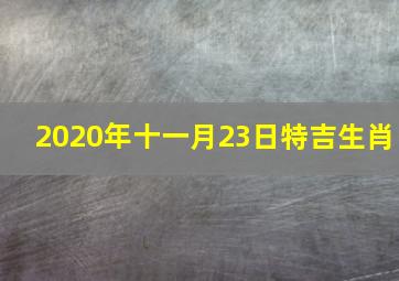 2020年十一月23日特吉生肖