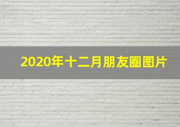 2020年十二月朋友圈图片