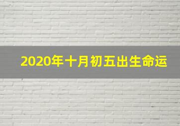 2020年十月初五出生命运