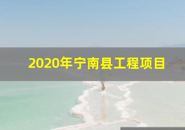 2020年宁南县工程项目