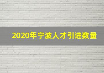 2020年宁波人才引进数量