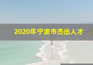 2020年宁波市杰出人才