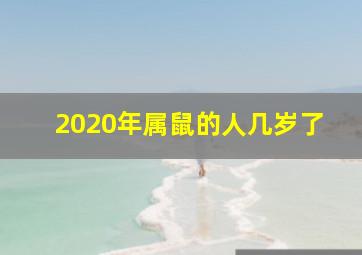 2020年属鼠的人几岁了