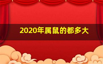 2020年属鼠的都多大