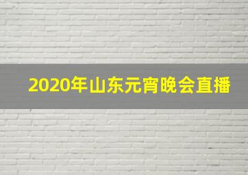 2020年山东元宵晚会直播