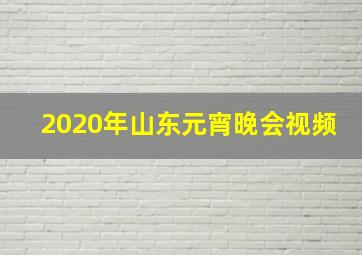 2020年山东元宵晚会视频