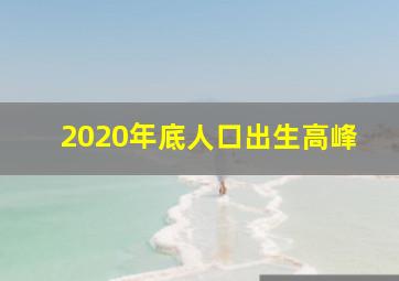 2020年底人口出生高峰