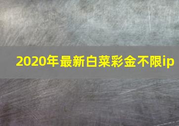 2020年最新白菜彩金不限ip