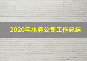 2020年水务公司工作总结