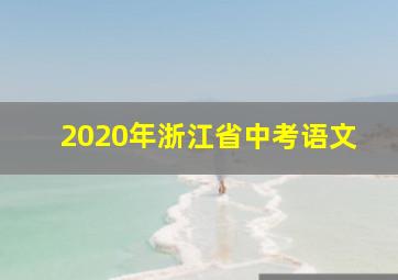 2020年浙江省中考语文