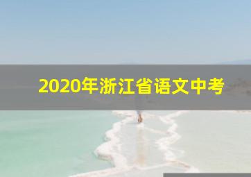 2020年浙江省语文中考