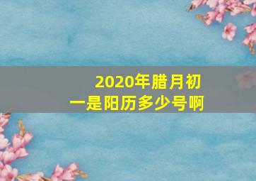 2020年腊月初一是阳历多少号啊