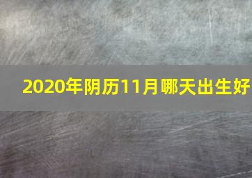 2020年阴历11月哪天出生好