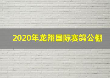 2020年龙翔国际赛鸽公棚