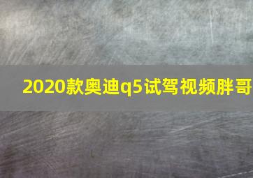 2020款奥迪q5试驾视频胖哥