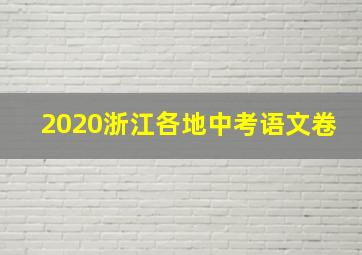 2020浙江各地中考语文卷