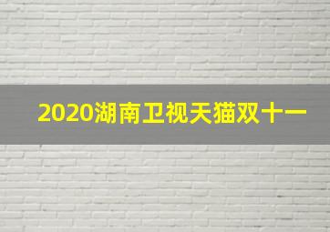 2020湖南卫视天猫双十一