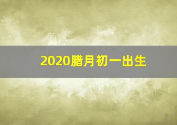 2020腊月初一出生