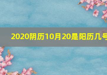 2020阴历10月20是阳历几号